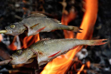 Десять способов приготовления рыбы на костре фото рецепт рыбы и морепродуктов